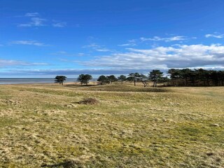 Vakantiehuis Als Buitenaudio-opname 6