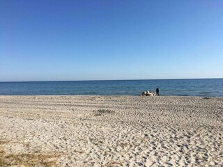 Ferienhaus Otterup Außenaufnahme 4