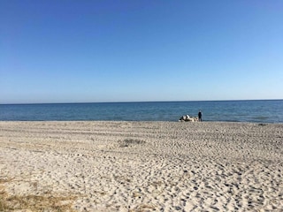 Holiday house Otterup Outdoor Recording 4