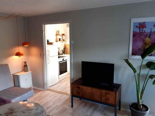 Ferienhaus Svaneke  4