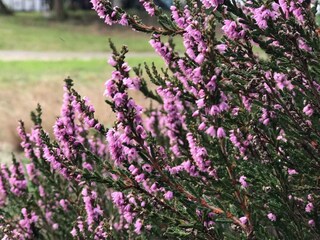 Holiday house Snogebæk Outdoor Recording 8