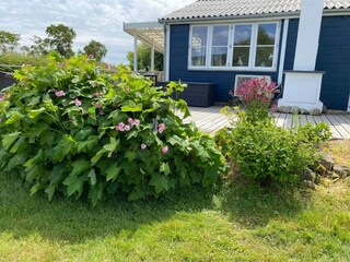 Vakantiehuis Allinge Buitenaudio-opname 2