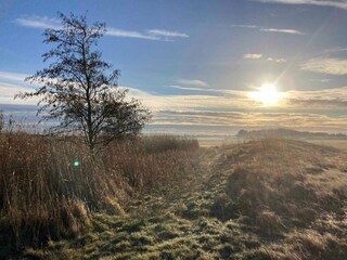 Vakantiehuis Rødby Buitenaudio-opname 17