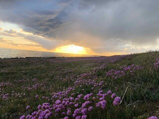 Holiday house Rødby Outdoor Recording 20