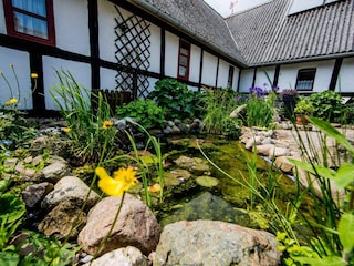 Ferienhaus Helnæs Außenaufnahme 6