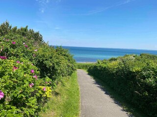 Ferienhaus Veddinge  10