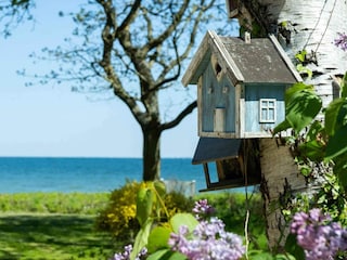 Ferienhaus Lohals Außenaufnahme 2
