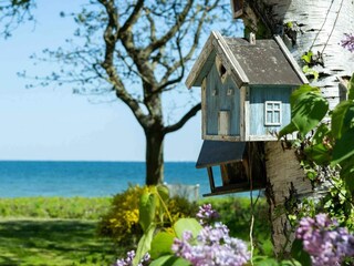 Holiday house Lohals Outdoor Recording 2