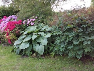 Ferienhaus Sydals Außenaufnahme 2