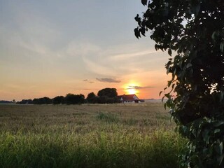 Vakantiehuis Balka Strand  14