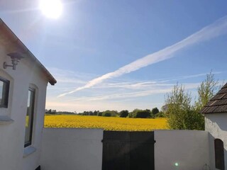 Holiday house Balka Strand Outdoor Recording 3