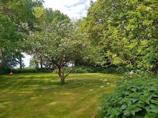 Vakantiehuis Sejerø  4