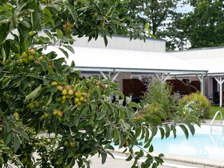 Vakantiehuis Dueodde Buitenaudio-opname 4