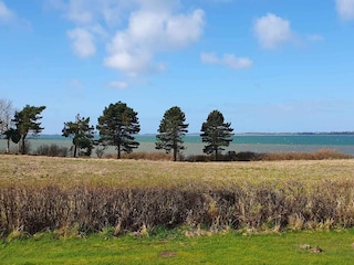 Holiday house Bogø Outdoor Recording 7