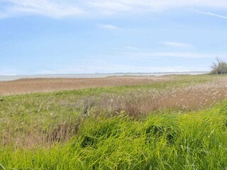Holiday house Bogø Outdoor Recording 14