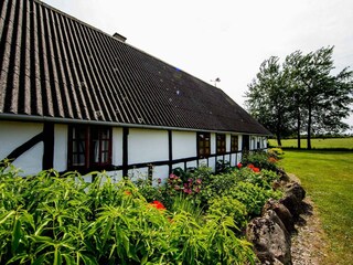 Vakantiehuis Helnæs Buitenaudio-opname 7