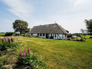 Ferienhaus Helnæs Außenaufnahme 2