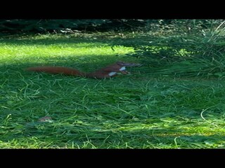 Vakantiehuis Orø  13