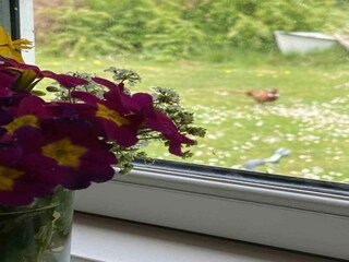 Holiday house Orø  12