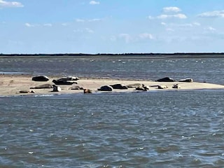 Ferienhaus Fanø Bad  11