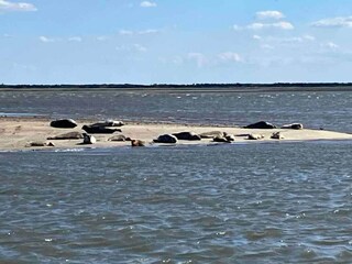 Vakantiehuis Fanø Bad  11