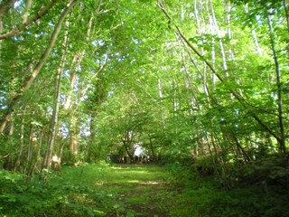 Ferienhaus Billund Außenaufnahme 3
