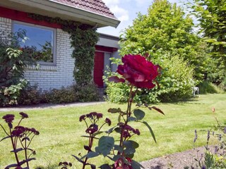 Ferienhaus Billund Außenaufnahme 4