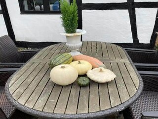 Vakantiehuis Maribo Buitenaudio-opname 2