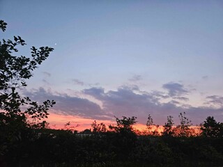 Holiday house Nakskov Outdoor Recording 11