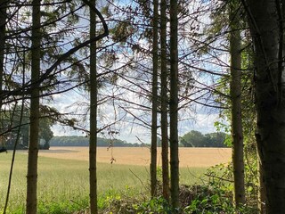 Holiday house Nakskov Outdoor Recording 12