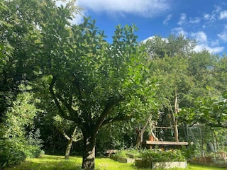 Holiday house Nakskov Outdoor Recording 7