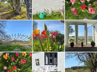 Ferienhaus Frøstrup  30