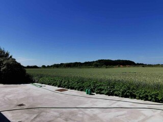 Vakantiehuis Rønde Buitenaudio-opname 3