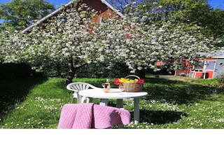 Holiday house Svaneke Outdoor Recording 3