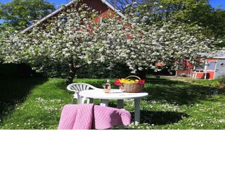 Vakantiehuis Svaneke Buitenaudio-opname 3