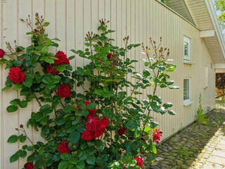 Holiday house Køge Outdoor Recording 8