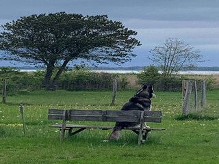 Holiday house Tuse Næs Outdoor Recording 1
