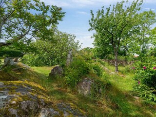 Holiday house Allinge Outdoor Recording 11