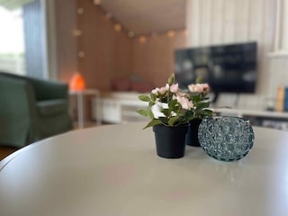 Ferienhaus Juelsminde  45