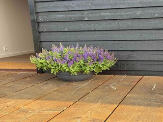 Vakantiehuis Liseleje Buitenaudio-opname 6