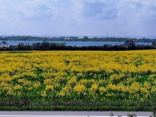 Ferienhaus Sydals Außenaufnahme 4