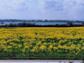 Holiday house Sydals Outdoor Recording 4