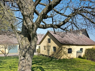 Ferienhaus Allinge Außenaufnahme 1