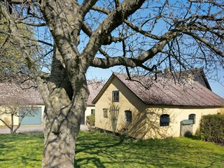 Holiday house Allinge Outdoor Recording 1