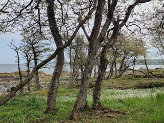 Vakantiehuis Allinge Buitenaudio-opname 26