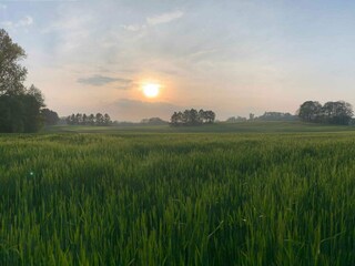 Vakantiehuis Tikøb Buitenaudio-opname 6