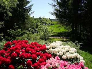 Holiday house Fur Outdoor Recording 9