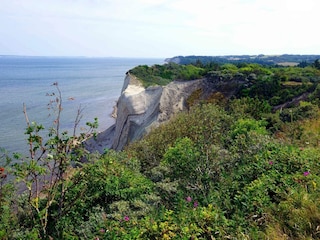 Holiday house Fur Outdoor Recording 11