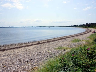 Holiday house Fur Outdoor Recording 13