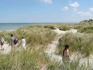 Ferienhaus Højby Außenaufnahme 11